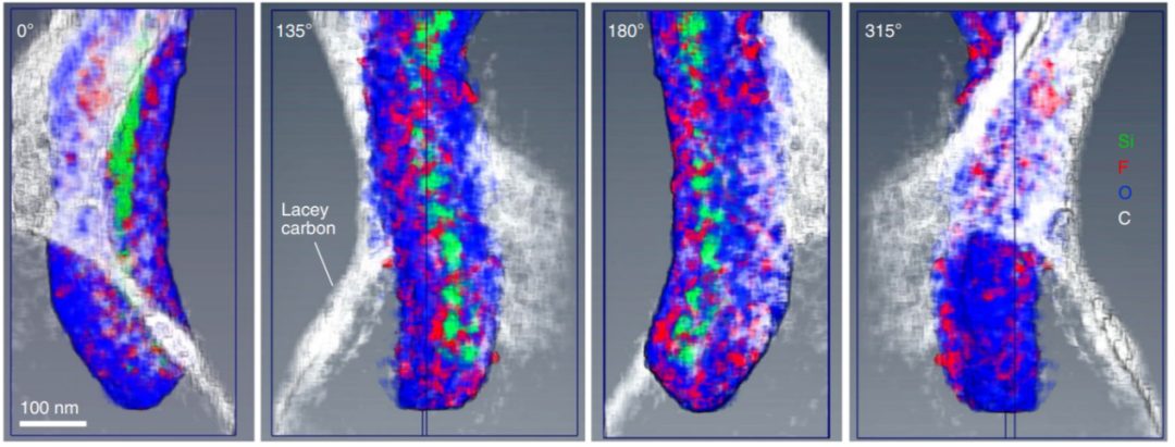 眼見(jiàn)為實(shí)！王崇民等人Nature Nanotechnology：冷凍電鏡揭示Si容量損失原因