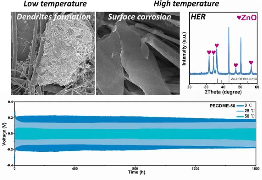 香港理工張標(biāo)EnSM: 界面穩(wěn)定性和溶劑化結(jié)構(gòu)的同步調(diào)節(jié)實現(xiàn)寬溫度鋅金屬負極