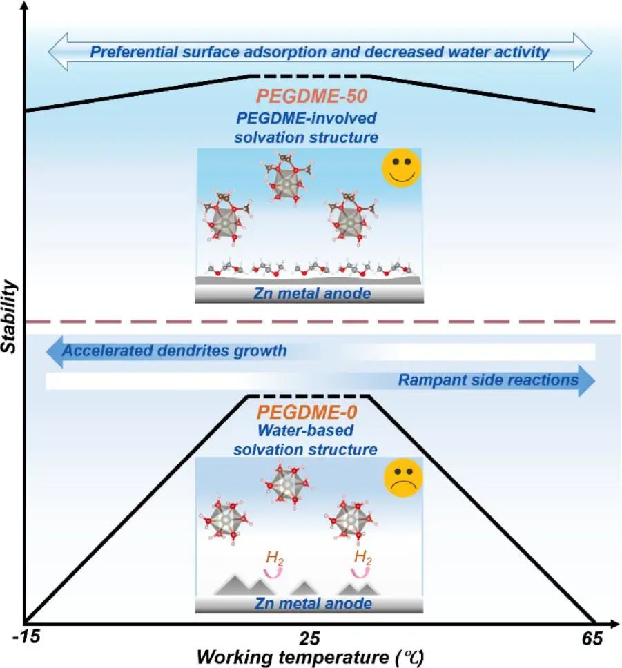 香港理工張標(biāo)EnSM: 界面穩(wěn)定性和溶劑化結(jié)構(gòu)的同步調(diào)節(jié)實現(xiàn)寬溫度鋅金屬負極