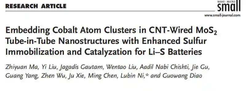 揚大倪魯彬Small：碳納米管MoS2包埋鈷原子團簇對鋰硫電池的固硫催化作用