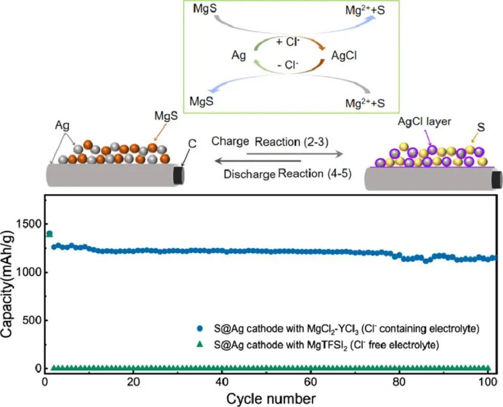 張躍鋼/郭晶華EnSM: 含氯化物電解液的鎂硫電池中Ag催化劑的可逆功能轉(zhuǎn)換