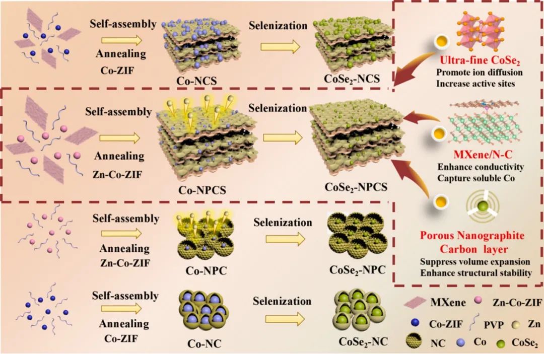 復(fù)旦余學(xué)斌ACS Nano：空間隔離啟發(fā)的超細CoSe2實現(xiàn)高倍率、高能鋁電池