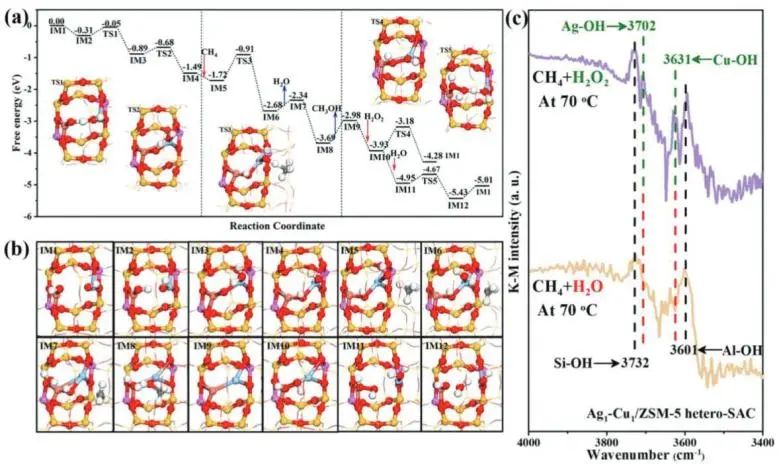 婁陽(yáng)/曹宵鳴Adv. Sci.：Ag-Cu銅雙單原子起大作用，協(xié)同催化甲烷直接氧化制甲醇