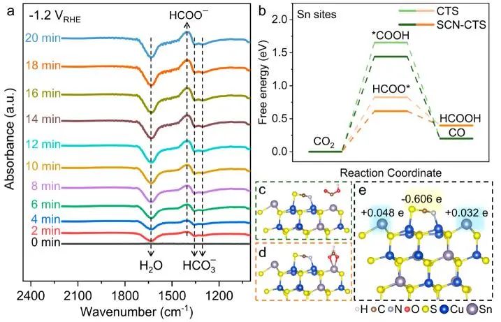 催化頂刊集錦：Nature子刊、JACS、Angew.、AFM、Nano Letters、ACS Catal.等成果