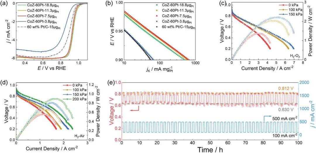 催化頂刊合集：EES、AM、AFM、Adv. Sci.、JEM、Small、CEJ等成果！