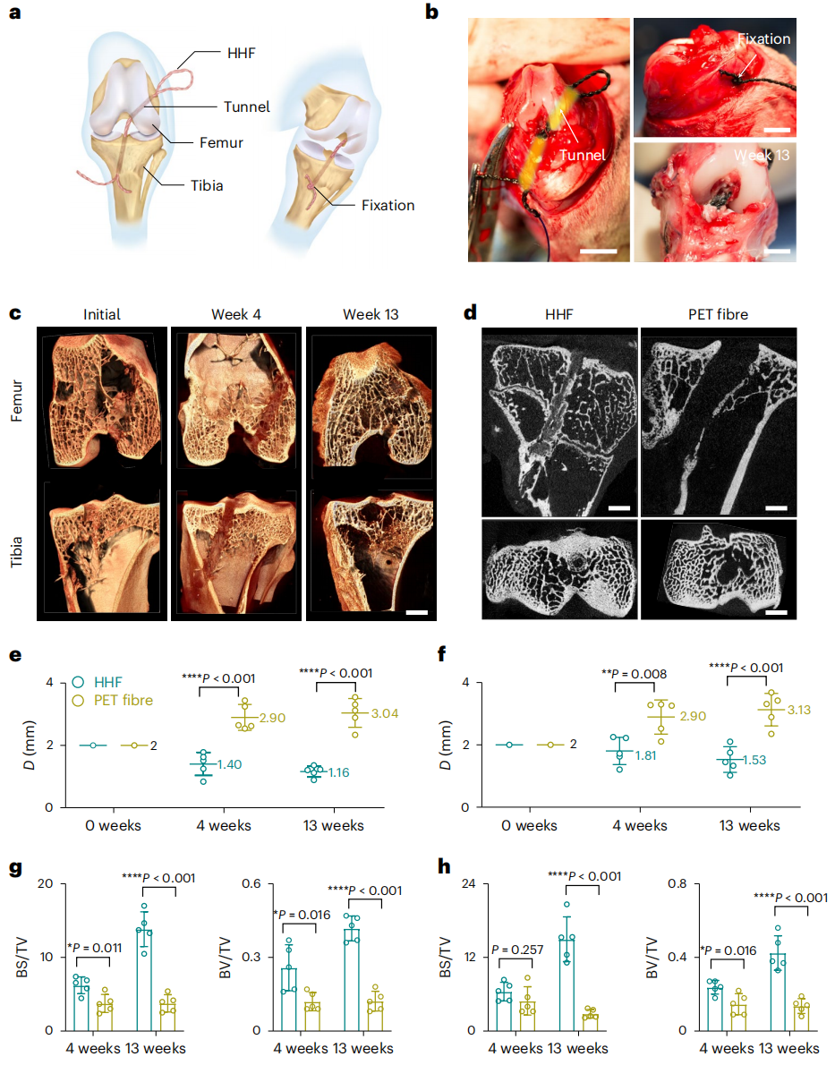 彭慧勝教授，最新Nature Nanotechnology！