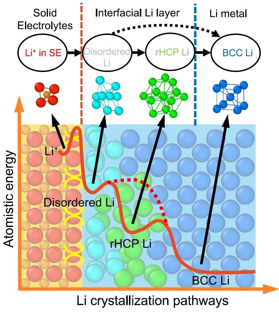 莫一非Nature子刊：分子動力學(xué)模擬揭示鋰在固態(tài)界面結(jié)晶的原子路徑