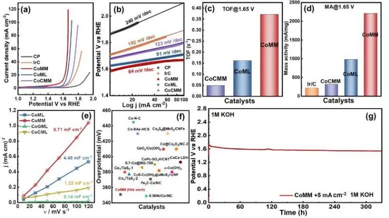 ?JACS：高分子輔助策略立大功！高密度鈷單原子催化劑強化析氧反應(yīng)活性