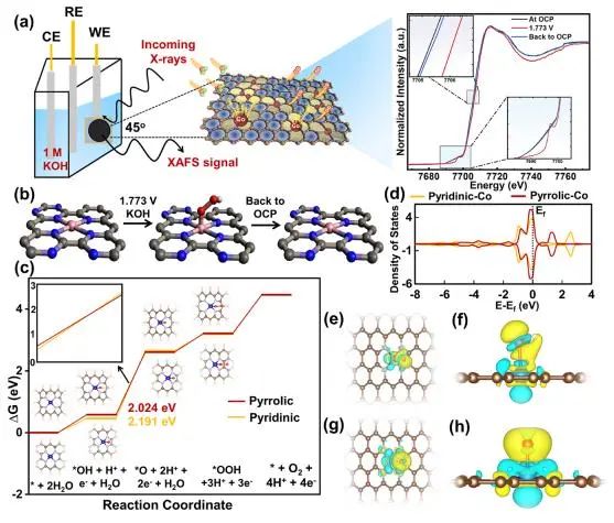 催化頂刊集錦：Nature子刊、JACS、AFM、ACS Catalysis、Nano Energy等