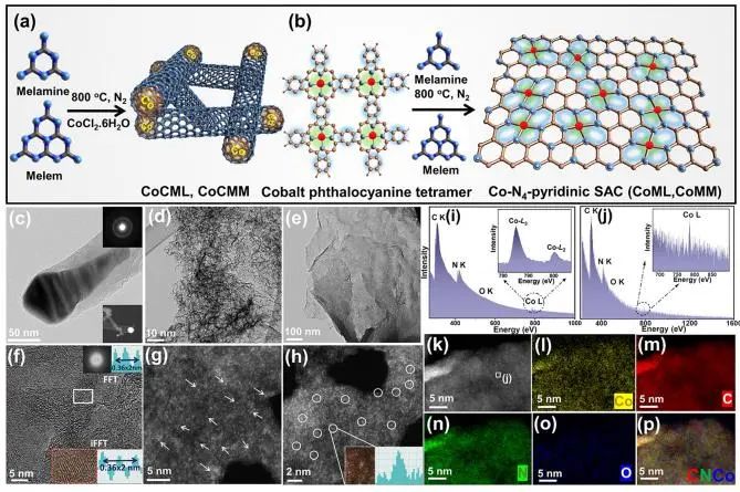 催化頂刊集錦：Nature子刊、JACS、AFM、ACS Catalysis、Nano Energy等