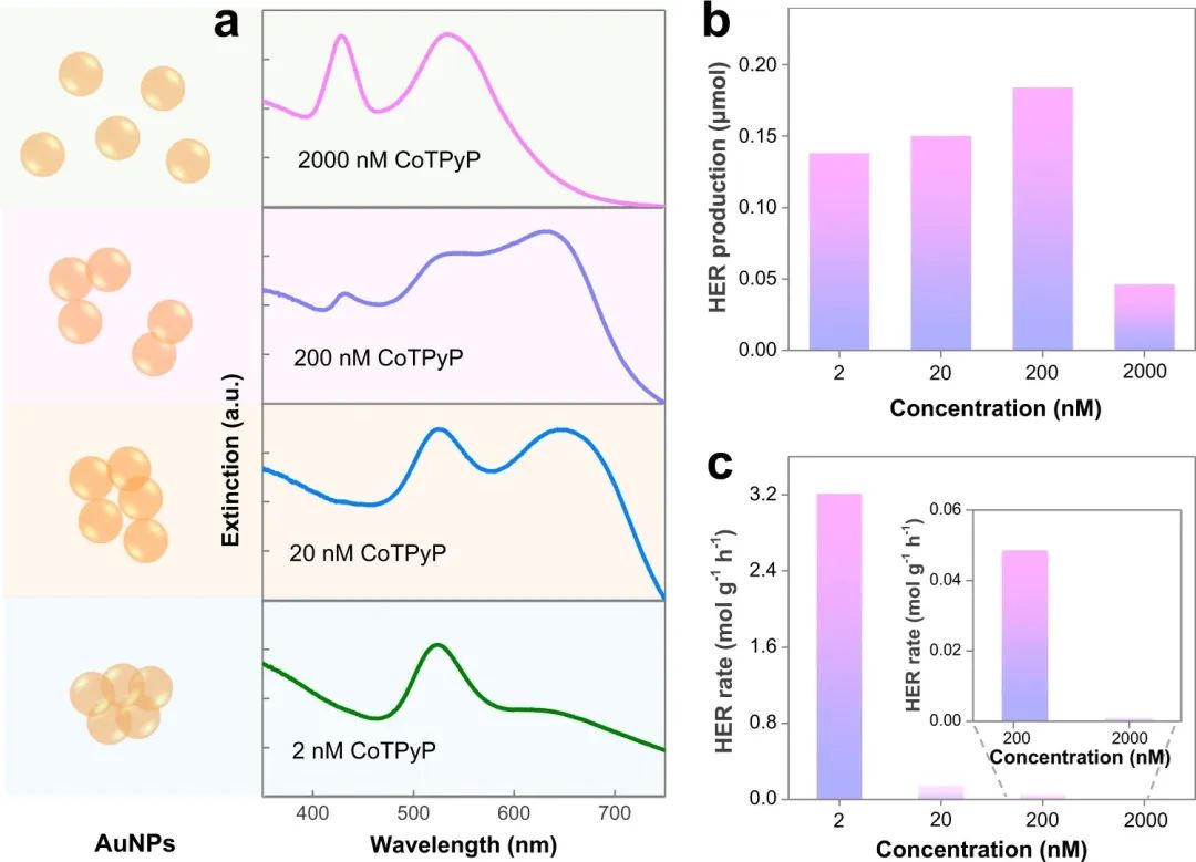 催化頂刊合集：Nature子刊、JMCA、Small、Carbon Energy、AFM、CEJ等成果！