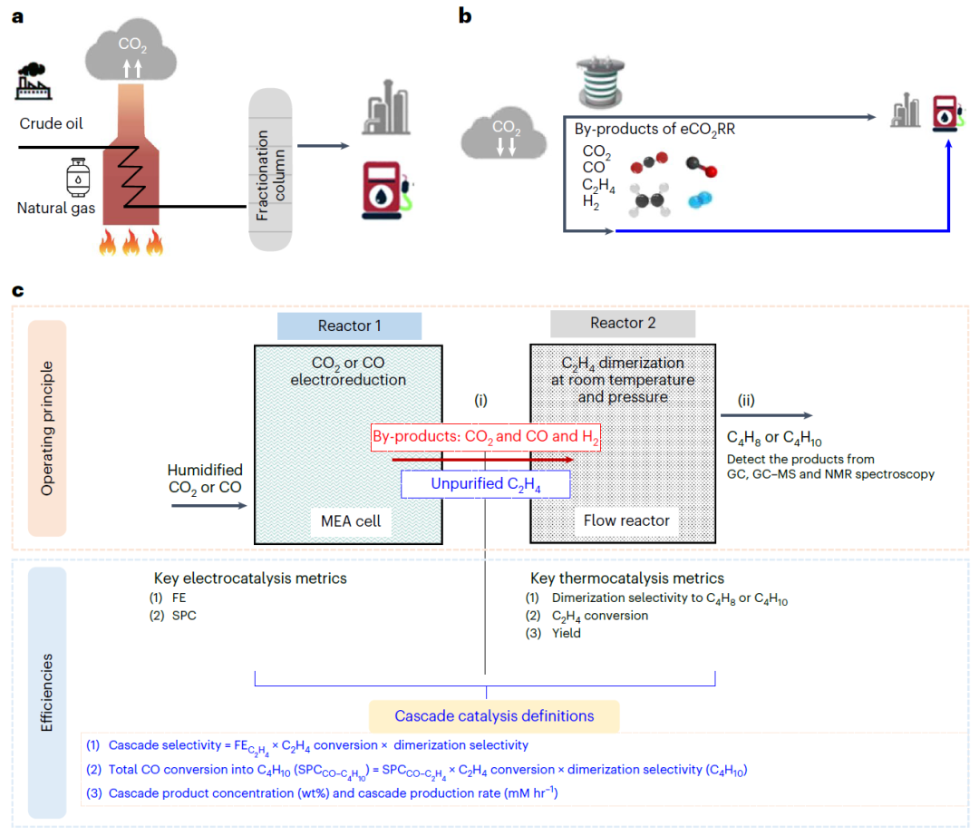 超燃！他發(fā)表第16篇Nature Catalysis，第36篇JACS！