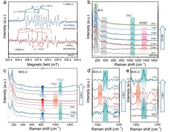 催化頂刊集錦：Nature、JACS、EES、ACS Catal.、ACS Nano、Small等成果精選！