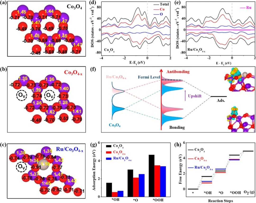 催化頂刊集錦：ACS Catalysis、Small、AFM、JMCA、Nano Letters、ACB等成果