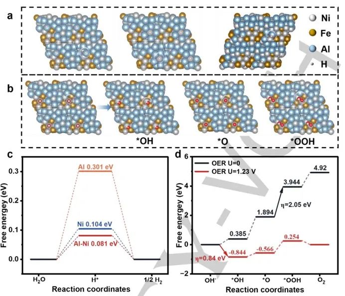 催化頂刊集錦：ACS Catalysis、Small、AFM、JMCA、Nano Letters、ACB等成果