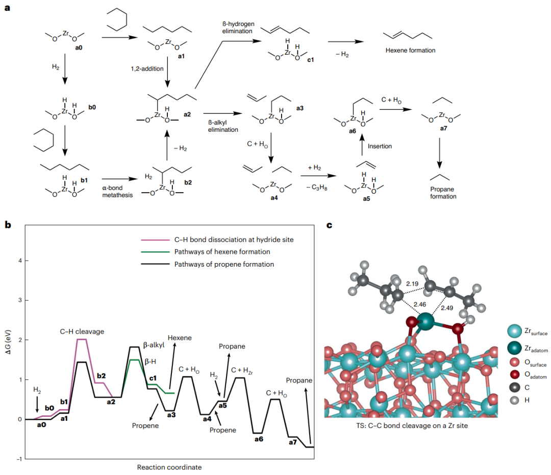 黃文裕教授最新Nature Catalysis：當(dāng)顆?？s小至3納米，氧化鋯催化劑可媲美鉑！