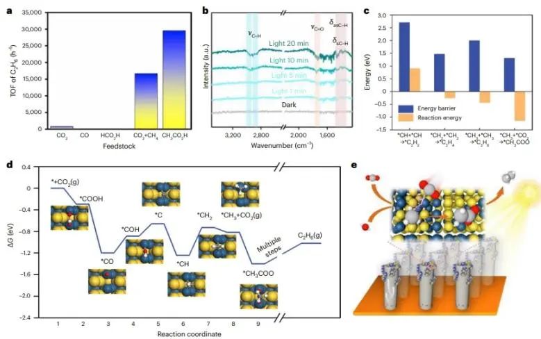 催化頂刊速遞：Nature Catalysis、EES、Nature子刊、Angew、Sci. Adv.、ACS Nano等成果