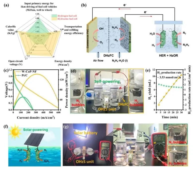 催化頂刊速遞：Nature Catalysis、EES、Nature子刊、Angew、Sci. Adv.、ACS Nano等成果