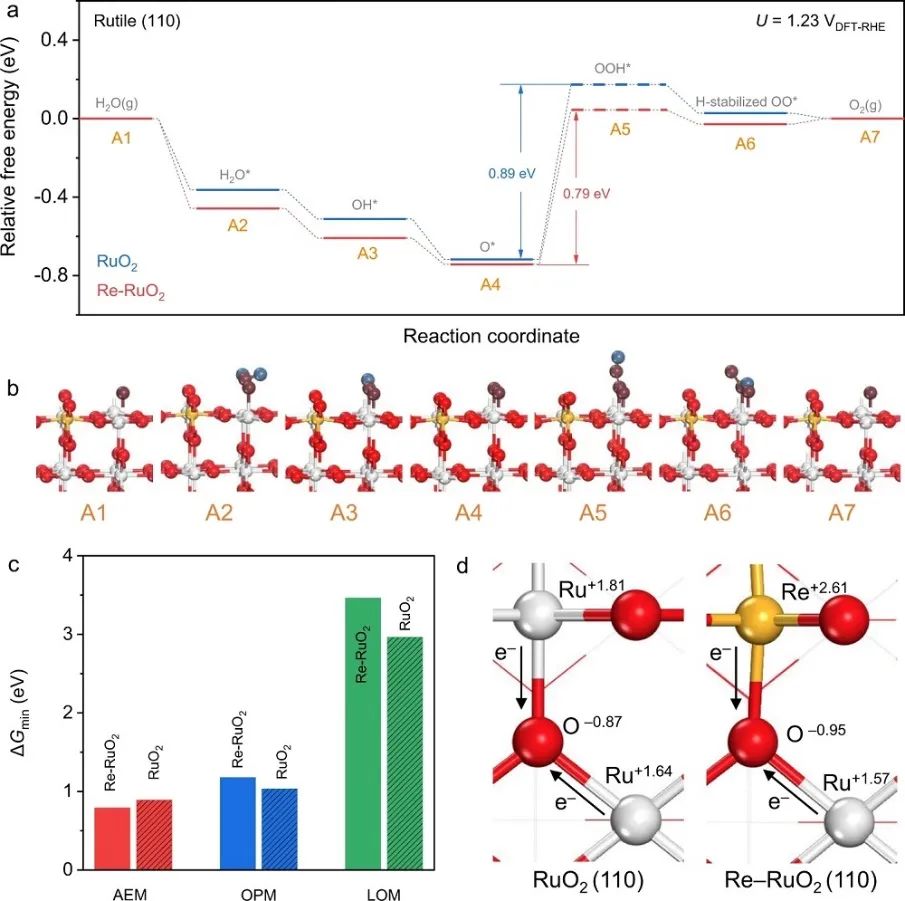 喬世璋&董俊才，最新Nature子刊！