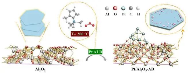 催化頂刊集錦：JACS、Nat. Commun.、AFM、ACS Catal.、Adv. Sci.、Small等