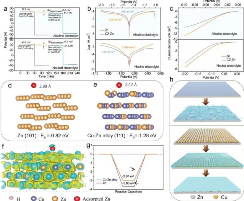 催化日報頂刊集錦：Angew./AFM/Small Methods/NML/ACS Catal./ACB等成果