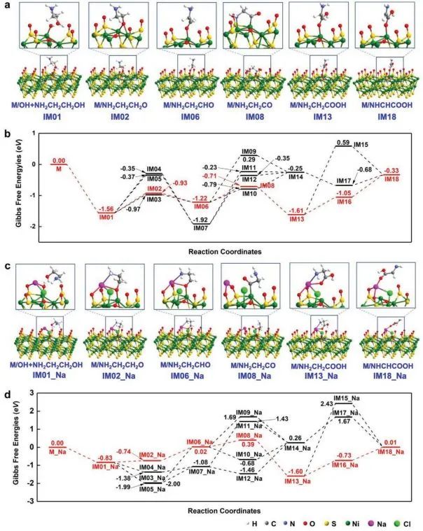 催化日報頂刊集錦：Angew./AFM/Small Methods/NML/ACS Catal./ACB等成果