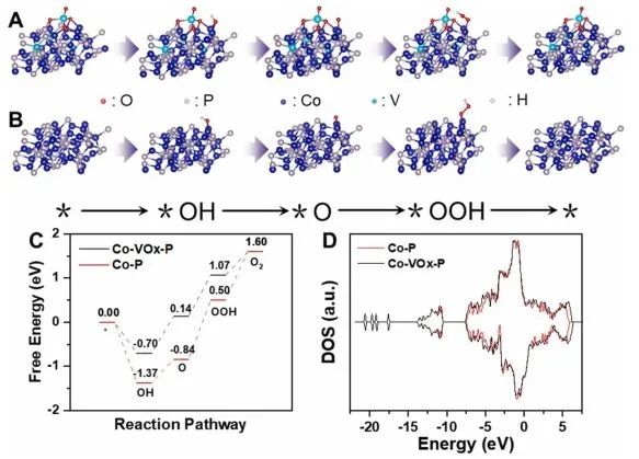 8篇催化頂刊：Angew.、AFM、Small、Chem. Eng. J.、ACS Catal.等最新成果