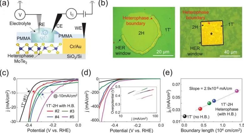 AFM: 異相工程: 1+1>2！MoTe2中的異相邊界具有高HER活性