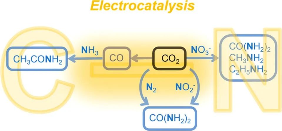 耶魯王海梁JACS：電催化CO2還原中通過(guò)C-N偶聯(lián)獲得有機(jī)氮化合物