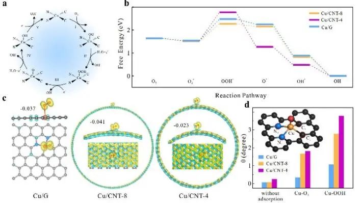 8篇催化頂刊：Nat. Commun.、ACS Nano、Nano Energy、Nano Lett.等成果