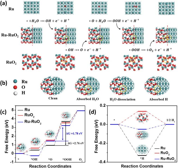 陳少偉、黎立桂、孟輝Appl. Catal. B.：三功能Mott-Schottky型電催化劑用于柔性鋅-空氣電池