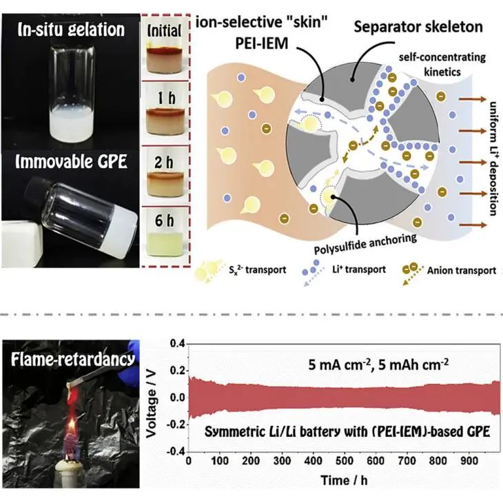 韋偉峰Matter: 電解液中植入離子選擇性“皮膚”實(shí)現(xiàn)高能安全的鋰硫電池