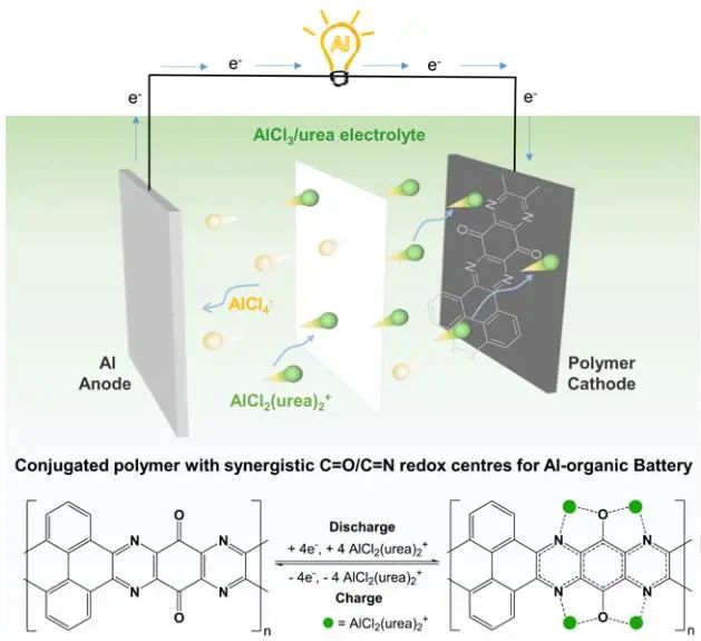 王連洲/羅彬Angew: 用于高性能鋁有機(jī)電池的雜環(huán)共軛聚合物納米結(jié)構(gòu)