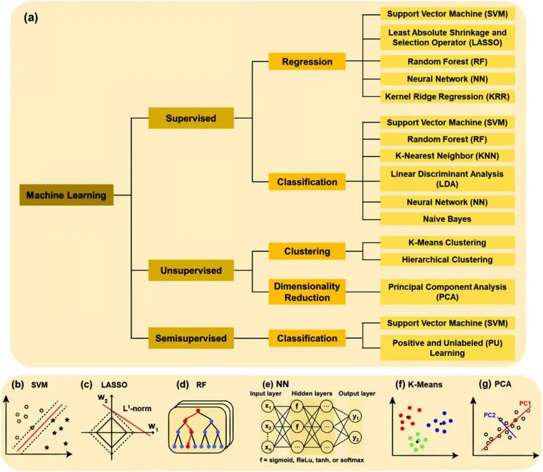 IF=54.564！Chem. Soc. Rev.綜述: 基于機(jī)器學(xué)習(xí)理解、發(fā)現(xiàn)和合成二維材料