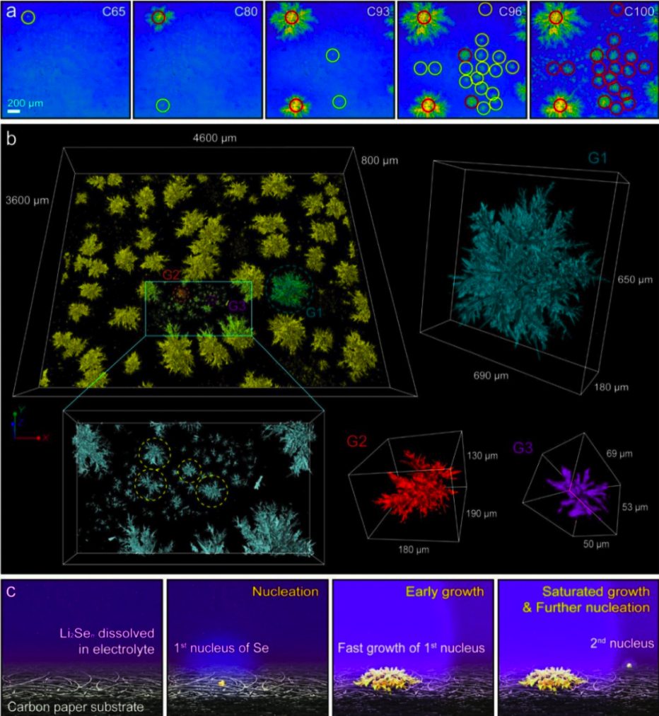 Li-Se電池EES：成核的重要性，X射線成像觀察Se的溶解與沉積