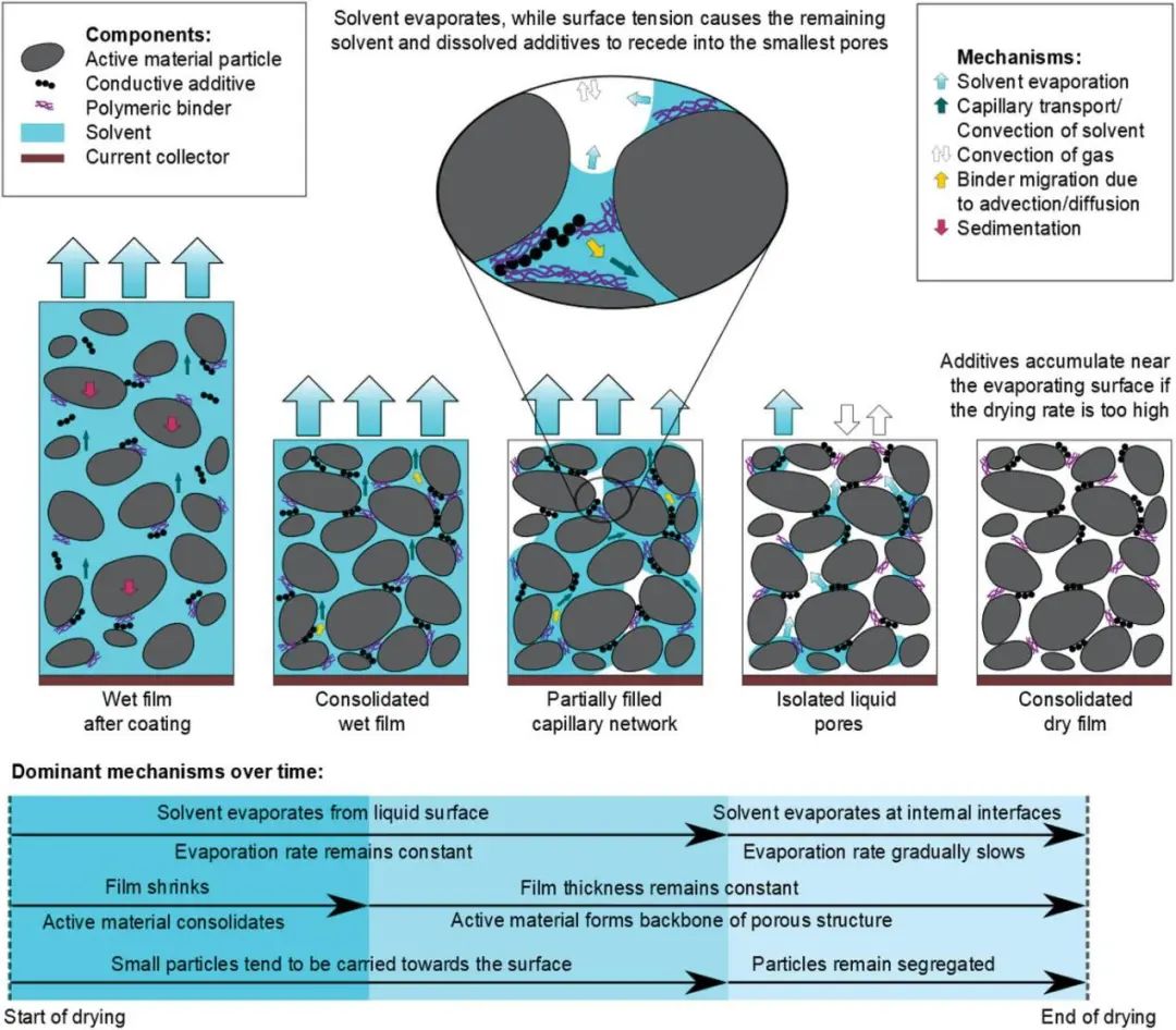 倫敦大學(xué)/法拉第研究所AEM：鋰離子電池電極干燥的機(jī)理與計(jì)量綜述