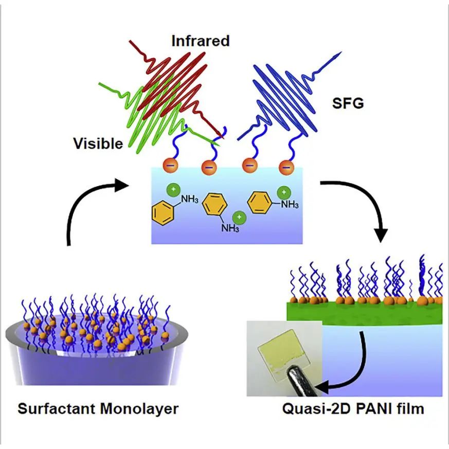 馮新亮院士等Chem：實(shí)時研究！水界面上表面活性劑單層輔助生長結(jié)晶準(zhǔn)2D聚合物