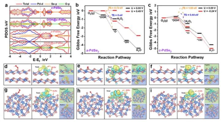 催化頂刊集錦：Nature子刊、Angew.、EES、JACS、AM、ACS Catalysis、Small等成果