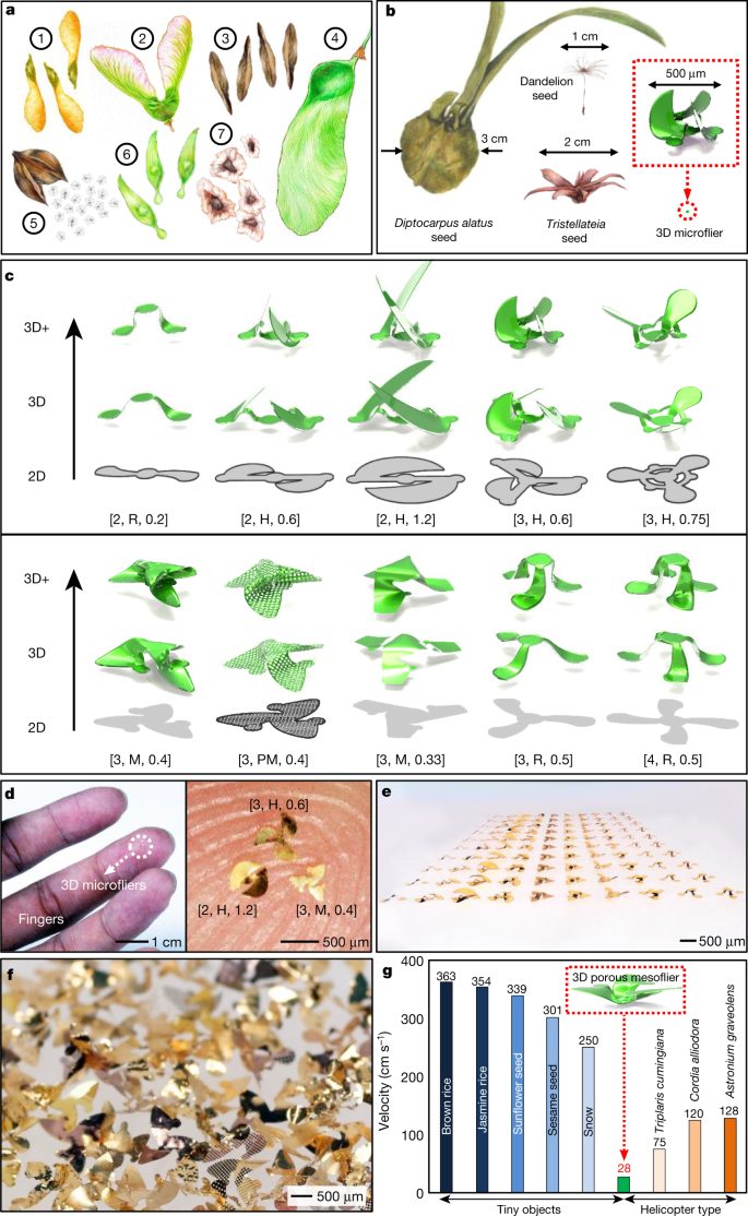 清華大學(xué)，再發(fā)Nature：像風(fēng)一樣自由