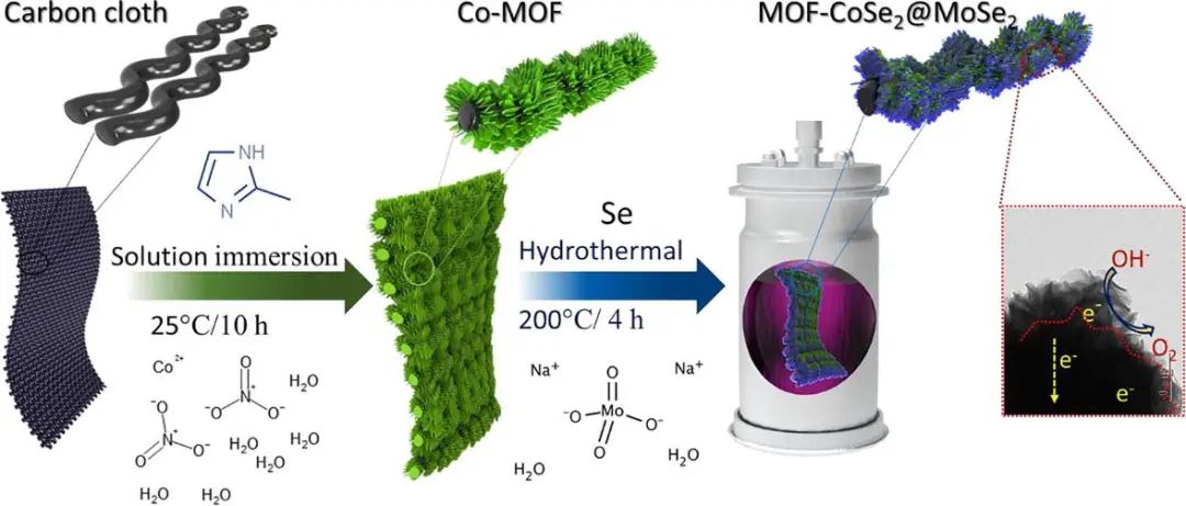 催化頂刊集錦：AFM、Appl. Catal. B.、Small、EnSM、Chem. Eng. J.等最新成果