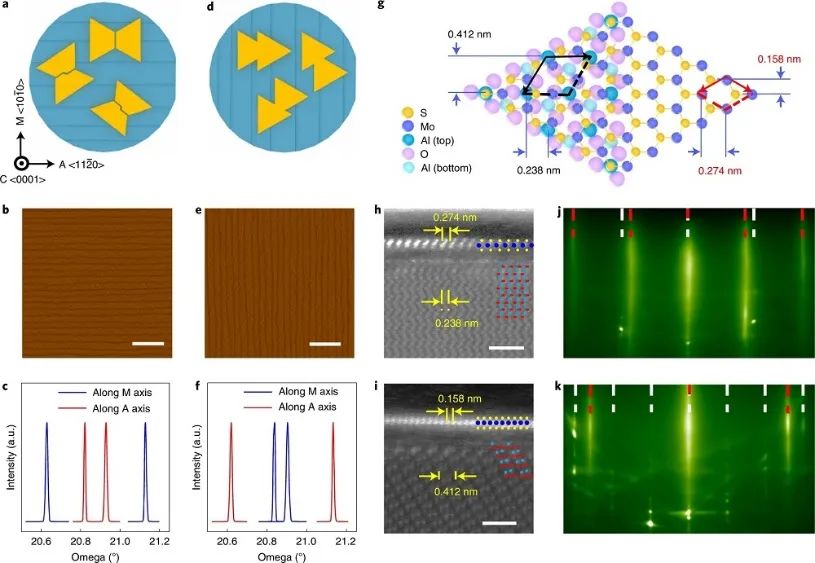 一周連發(fā)兩篇Nature Nanotechnology！這個(gè)團(tuán)隊(duì)不簡(jiǎn)單！