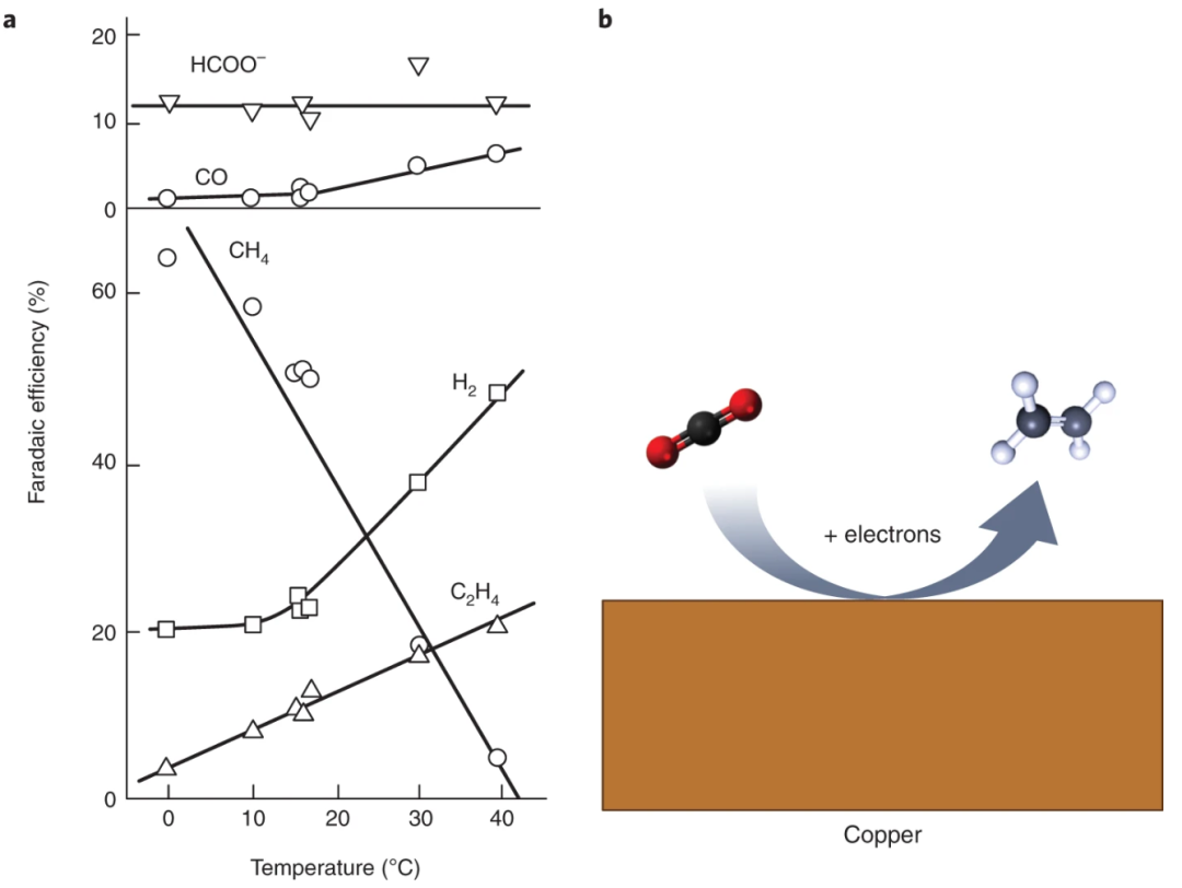 美女科學(xué)家Nature Catalysis：銅，我的寶！