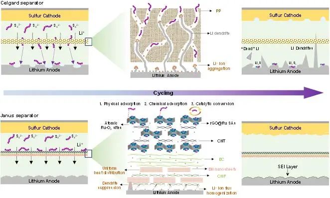 北大郭少軍AM：功能化隔膜同時(shí)解決鋰硫電池正負(fù)極問題！