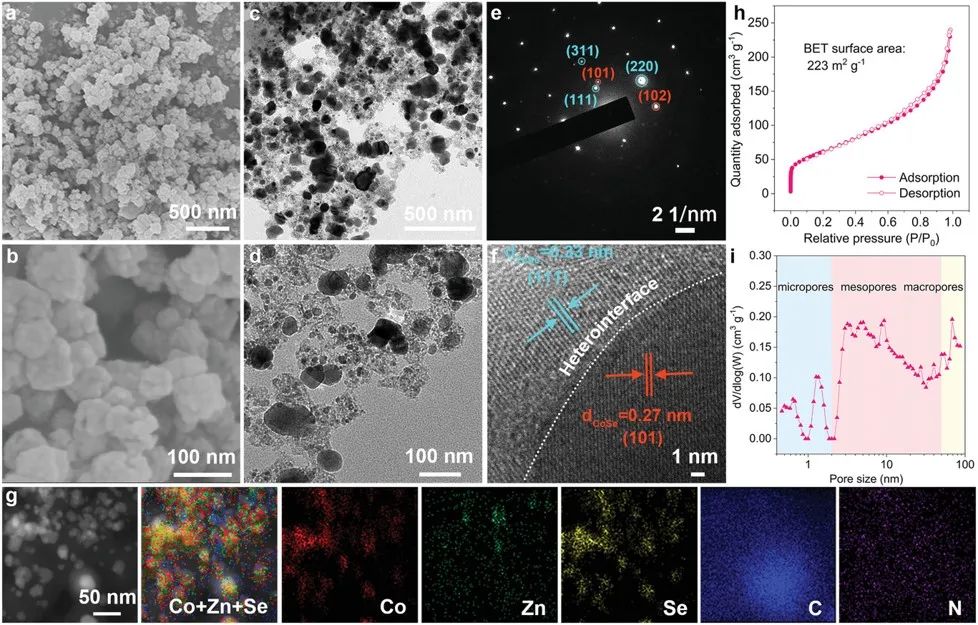 北理陳人杰、李麗Adv. Sci.：CoSe-ZnSe異質(zhì)結(jié)促進(jìn)鋰硫電池雙向硫轉(zhuǎn)化反應(yīng)