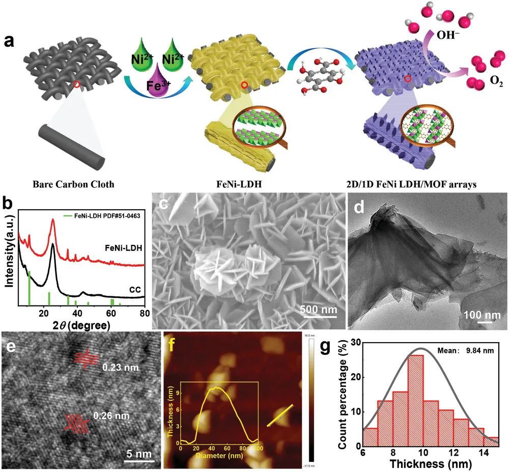 AFM: 充滿1D FeNi-MOF的亞2 nm 2D FeNi LDH納米片增強析氧電催化