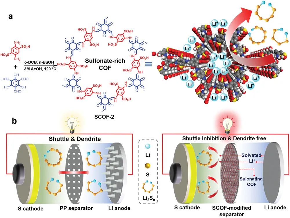 復(fù)旦王永剛/李偉AM：通過(guò)富含磺酸酯的COF改性隔膜實(shí)現(xiàn)高性能鋰硫電池