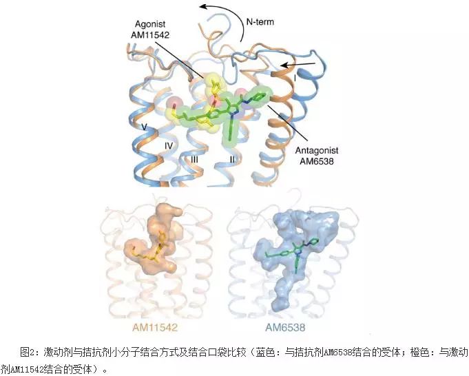 她！再發(fā)Science！6年6篇CNS大滿貫！讀博期間每天工作17小時(shí)的，如今已是博導(dǎo)