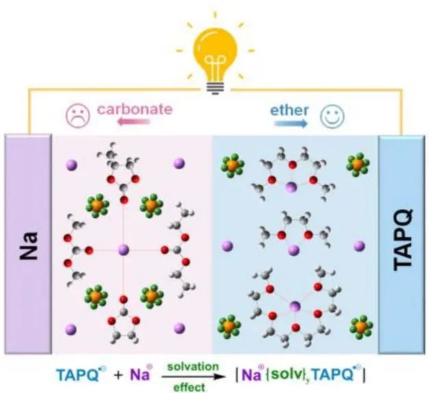 北航張瑜Angew：溶劑化對(duì)提高TAPQ鈉儲(chǔ)存性能的影響