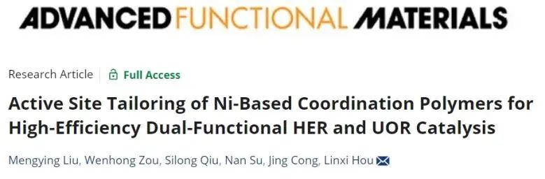 ?侯琳熙課題組AFM：引入W位點(diǎn)，有效促進(jìn)Ni基配位聚合物催化HER和UOR