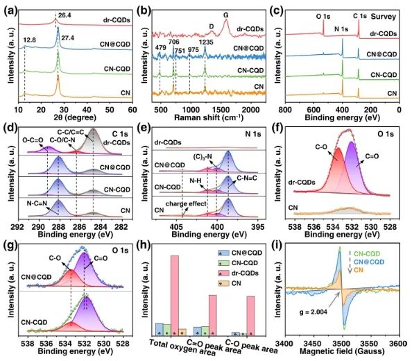 ?催化頂刊集錦：Nature子刊、Angew、AFM、ACS Nano、ACS Energy Lett.等成果